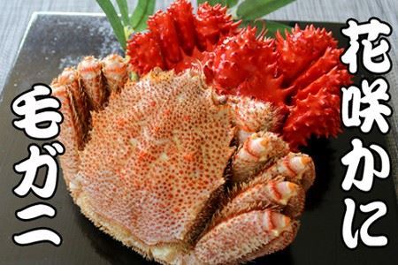 [1221ϕ܂ŔNz]т400gO`550gO×1Eԍ炩500gO`650gO×1 C-70070