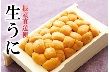 �G�]�o�t���E�j70�`80g×1�� B-40023