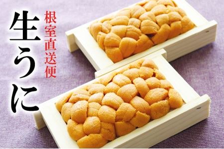 �G�]�o�t���E�j70�`80g×2�� F-40006