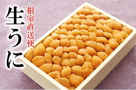 �G�]�o�t���E�j250g×1�� F-40007