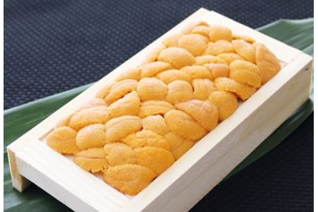 [12月17日決済分まで年内配送]エゾバフンウニ100g×1折 B-71025