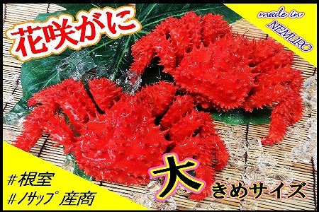 【北海道根室産】花咲がに2尾(計1.3kg) ＜12月18日決済分まで年内配送＞ F-59005