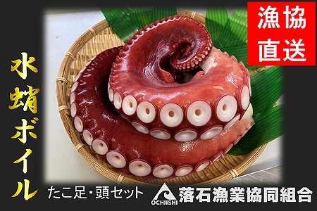 【北海道根室産】水蛸ボイルセット(足、頭) B-20002