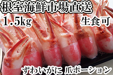 Hp{YCKj܃|[V1.5kg B-14088