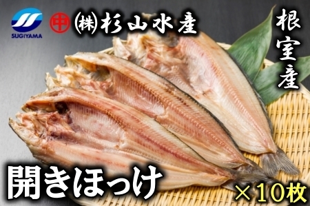 ykCYzⓀJق260gO×10 B-75006