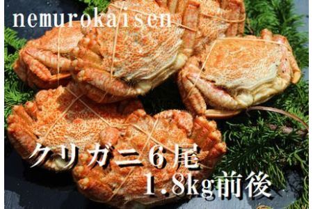 【北海道根室産】クリガニ6尾(計1.8kg前後) C-57037