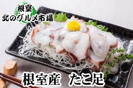 yNzzykCYz800gO`1.4sO×1{ A-76028