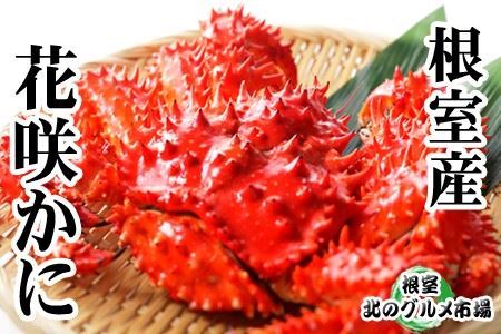 ＜12月22日決済分まで年内配送＞【北海道根室産】花咲かに500g～650g×2尾 A-76029