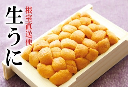 G]otEj70g×1[2026N2{ȍ~] A-40018