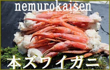 [1221ϕ܂ŔNz]{YCKj20`28(v4kg) D-57033