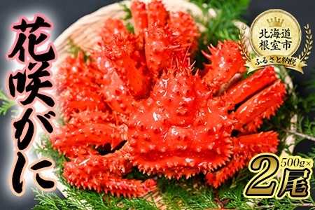 [1221ϕ܂ŔNz]ykCYzԍ炪500gO×2Zbg B-80004