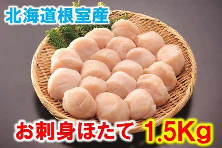 【北海道根室産】お刺身ほたて1.5kg C-01063