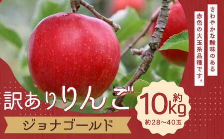 訳あり りんご (ジョナゴールド) 約10kg[2024年10月下旬発送予定]/林檎 リンゴ 果物 くだもの フルーツ 産地直送 わけあり ワケアリ 家庭用