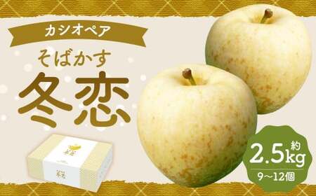 二戸産 カシオペア そばかす冬恋はるか 約2.5kg【2024年12月上旬-下旬発送予定】／林檎 リンゴ フルーツ 果物 はるか お取り寄せ 蜜入り 糖度15度以上 サビあり