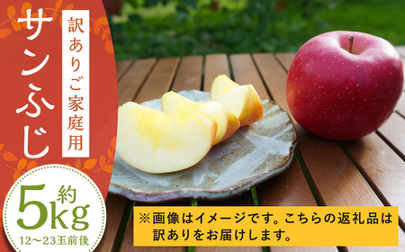 [訳あり] サンふじ 約5kg 家庭用/わけあり りんご リンゴ フルーツ 果物 岩手 [2024年12月上旬発送開始]