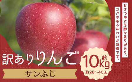 訳あり りんご (サンふじ) 約10kg/ リンゴ 林檎 フルーツ くだもの 果物 果実 わけあり お取り寄せ[2024年12月下旬より発送開始]