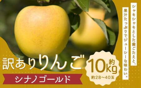 訳あり りんご (シナノゴールド) 約10kg/リンゴ 林檎 フルーツ くだもの 果物 果実 わけあり お取り寄せ[2024年12月下旬より発送開始]