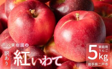 [訳あり] 紅いわて 約5kg 家庭用/わけあり りんご リンゴ フルーツ 果物 岩手 [2025年9月上旬-10月上旬発送予定]