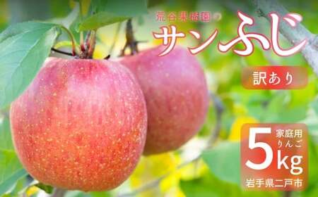 [訳あり] サンふじ 約5kg 家庭用/わけあり りんご リンゴ フルーツ 果物 岩手 [2025年12月発送予定]