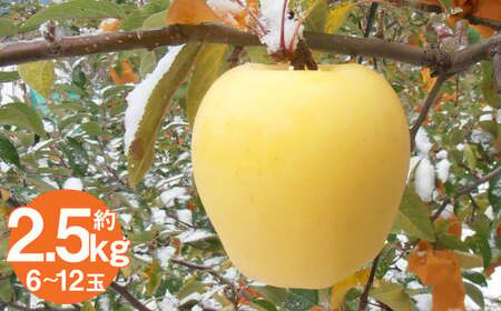 ˎY ͂邩 2.5kg i6`12ʁj^ S ь t[c ʕ {  y2025N12\z