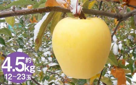 ˎY ͂邩 4.5kg i12`23ʁj^ S ь t[c ʕ {  y2025N12\z