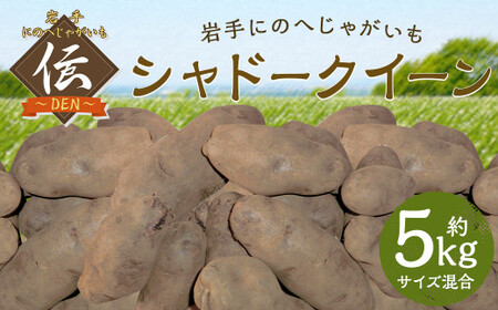 [厳選品]岩手にのへじゃがいも「伝」シャドークイーン(サイズ混合) 5kg [2026年9月中旬から2027年2月下旬発送予定]/ジャガイモ じゃがいも 芋 イモ ポテト 野菜 お取り寄せ 農家 産地直送