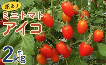 [訳あり]ミニトマト『アイコ』約2kg[2026年7月下旬〜8月下旬発送予定]/ミニトマト トマト フルーツトマト 野菜 直送 岩手県 二戸市