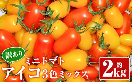 [訳あり]ミニトマト『アイコ』3色ミックス 約2kg[2026年7月下旬〜8月下旬発送予定]/ミニトマト トマト フルーツトマト レッド イエロー オレンジ 野菜 直送 岩手県 二戸市