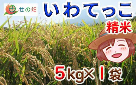 [2024年11月発送開始] 令和6年産 新米 岩手県産 いわてっこ 精米 5kg×1袋 / 米 白米 産地直送 農家直送 [せの畑]