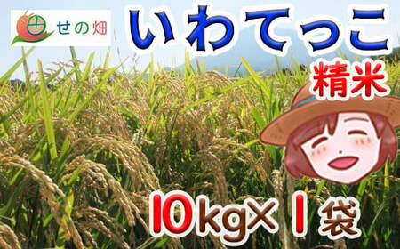 yߘa7NYz V 11{Jn\ Ă  10kg×1 ^ ̔   R    ͂   ɂ ٓ d  Yn _ƒ Pꌴ
