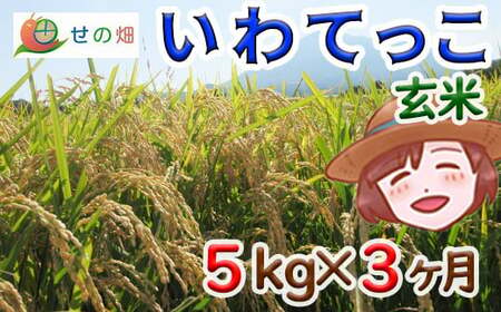 [2024年11月発送開始] 令和6年産 新米 岩手県産 いわてっこ 玄米 5kg×3ヶ月定期便 / 米 産地直送 農家直送 定期 [せの畑]