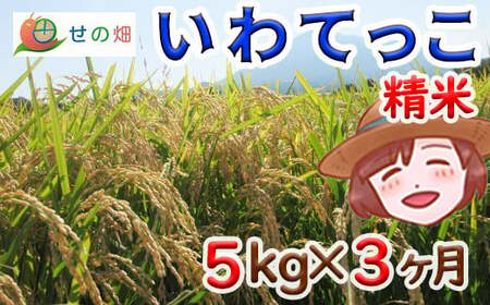 [2024年11月発送開始] 令和6年産 新米 岩手県産 いわてっこ 精米 5kg×3ヶ月定期便 / 米 白米 産地直送 農家直送 定期 [せの畑]