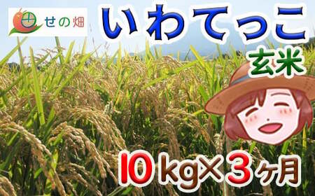 yߘa7NYz V 11{Jn\ Ă  10kg×3 ^ ̔   R    ͂ ܂ ɂ ٓ d  Yn _ƒ