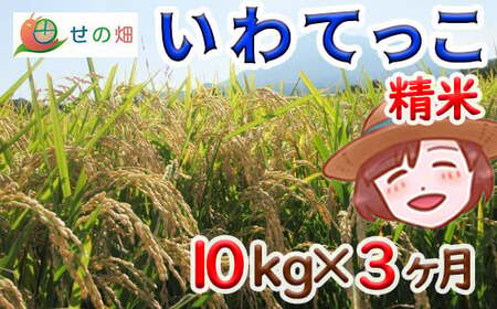 yߘa7NYz V 11{Jn\ Ă  10kg×3 ^ ̔   R    ͂   ɂ ٓ d  Yn _ƒ