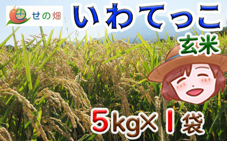 [2024年11月発送開始] 令和6年産 新米 岩手県産 いわてっこ 玄米 5kg×1袋 / 米 産地直送 農家直送 [せの畑]