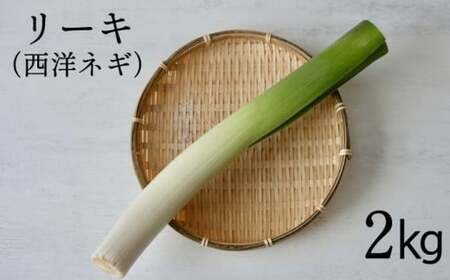 茧Y [L 2kg ŷ݂蕗yz ^ m˂ |lM lM K ˂ | | |A [N   tX t` C^A C^A VN  H Yn