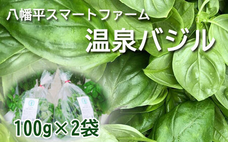 [八幡平市産]温泉バジル 100g×2袋 / 新鮮 生 薬味 ハーブ スマートファーム