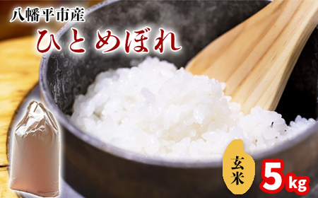 [令和7年産] 新米 11月中旬発送開始予定 ひとめぼれ 玄米 5kg / 中沢農産 こめ 米 コメ お米 おこめ ご飯 ごはん げんまい おにぎり お弁当 仕送り お取り寄せ 産地直送 農家直送 単一原料米 国産 国産米 東北 岩手県産 八幡平市 おすすめ
