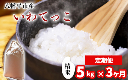 [令和7年産] 新米 11月中旬発送開始予定 いわてっこ 精米 5kg×3ヶ月定期便 / 中沢農産 こめ 米 コメ お米 おこめ ご飯 ごはん 白米 白飯 おにぎり お弁当 仕送り お取り寄せ 産地直送 農家直送 単一原料米 国産 国産米 東北 岩手県産 八幡平市 おすすめ 定期便 定期