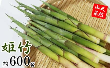 [期間限定] 天然山菜 竹の子 約600g / じじちゃん 筍 たけのこ 姫竹 産地直送