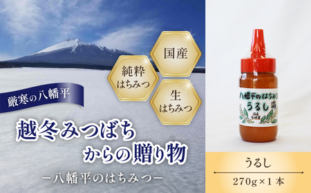 [ 国産純粋はちみつ ] うるし 蜂蜜 270g × 1本 / 漆 ウルシ 漆蜜 うるし蜜 はちみつ ハチミツ ハチ蜜 ハニー 国産 国内産 日本産 岩手県産 八幡平市 家庭用 自家用 プレゼント ボトル 長期保存 産地直送 おすすめ 珍しい [八幡平高橋養蜂]