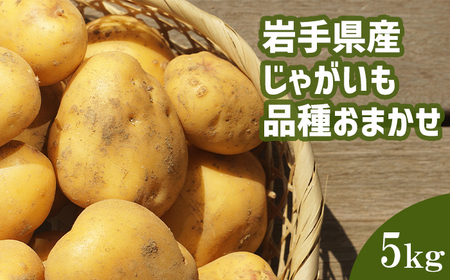 [2026年8月中旬発送開始予定] 岩手県産 じゃがいも 品種おまかせ ( きたあかり または はるか ) 5kg [松浦農園]/ ジャガイモ じゃが芋 芋 いも お芋 おいも 馬鈴薯 ばれいしょ ポテト 農家直送 産地直送 野菜 お野菜 八幡平市産 期間限定 数量限定 季節限定 おすすめ オススメ