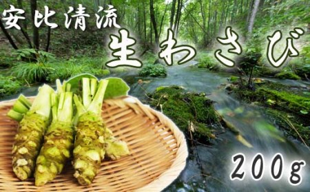 岩手県産 生わさび 200g 【安比清流山葵園】 ／ 山葵 ワサビ 薬味 産地直送 新鮮