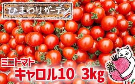 [EM栽培]岩手県産 ミニトマト キャロル10 約3kg / ひまわりガーデン 産地直送 農家直送 とまと 新鮮