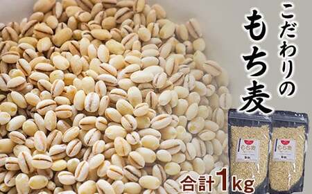 岩手県産 もち麦 はねうまもち 1kg (500g×2袋) / 十一代目藤助 雑穀 産地直送 農家直送