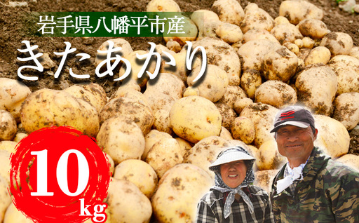 ＜2026年8月中旬発送開始予定＞ 岩手県産 じゃがいも きたあかり 10kg 【松浦農園】／ ジャガイモ じゃが芋 キタアカリ 芋 いも お芋 おいも 馬鈴薯 ばれいしょ ポテト 農家直送 産地直送 野菜 お野菜 八幡平市産 期間限定 数量限定 季節限定 美味しい おいしい おすすめ オススメ