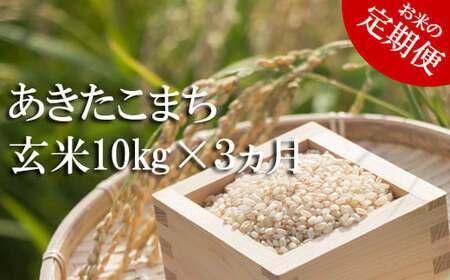 [2024年11月発送開始] 令和6年産 新米 あきたこまち 玄米 10kg 3ヶ月 定期便 / 米 産地直送 岩手県産 [かきのうえ]