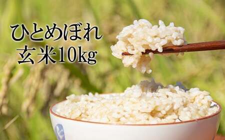 yߘa7NYz V 10{Jn\ ЂƂ߂ڂ  10kg ^ ̂   R    ͂ ܂ ɂ ٓ d  Yn Pꌴ Y