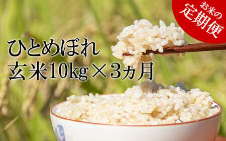 yߘa7NYz V 11{Jn\ ЂƂ߂ڂ  10kg×3 ^ ̂   R    ͂ ܂ ɂ ٓ d  Yn P