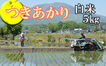 [2024年11月発送開始] 令和6年産 新米 つきあかり 精米 5kg / 白米 産地直送 岩手県産 [かきのうえ]